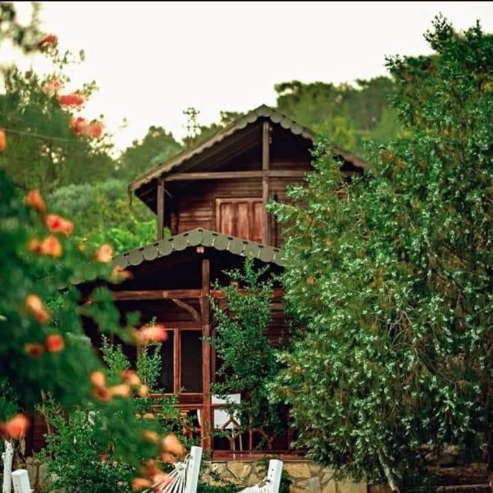 Olympos Talara By Arzum Hotel Kumluca Bagian luar foto
