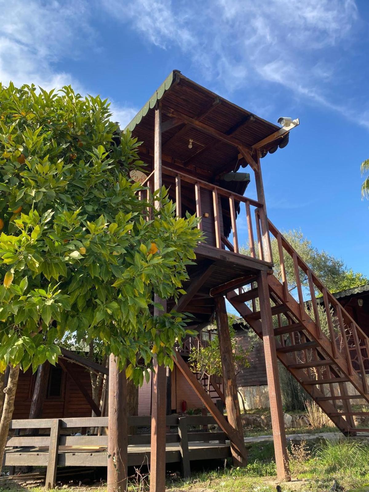 Olympos Talara By Arzum Hotel Kumluca Bagian luar foto